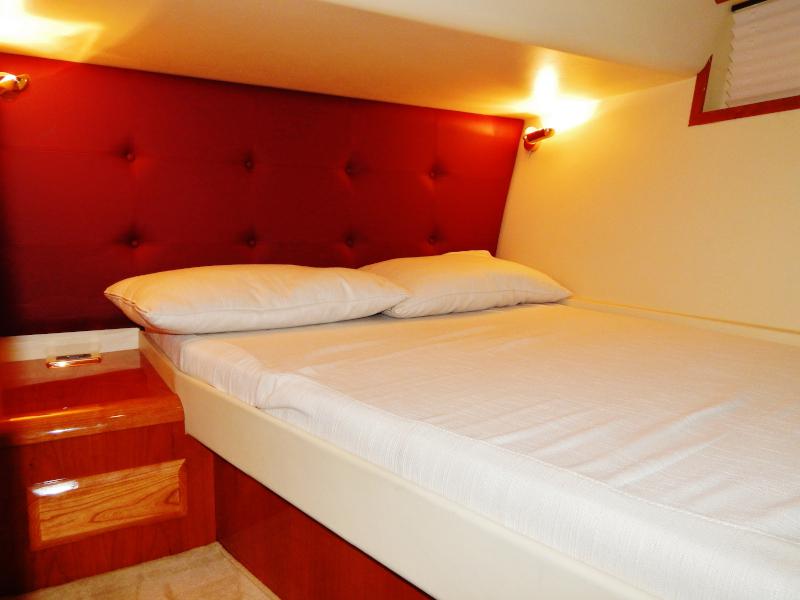 Book yachts online - motorboat - Della Pasqua - Shine - rent
