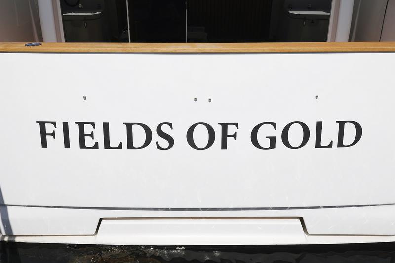Book yachts online - motorboat - Greenline 33 - Fields of Gold - rent