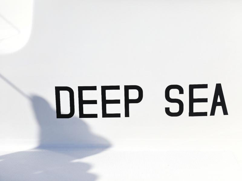 Book yachts online - catamaran - Lagoon 46 - DEEPSEA - rent
