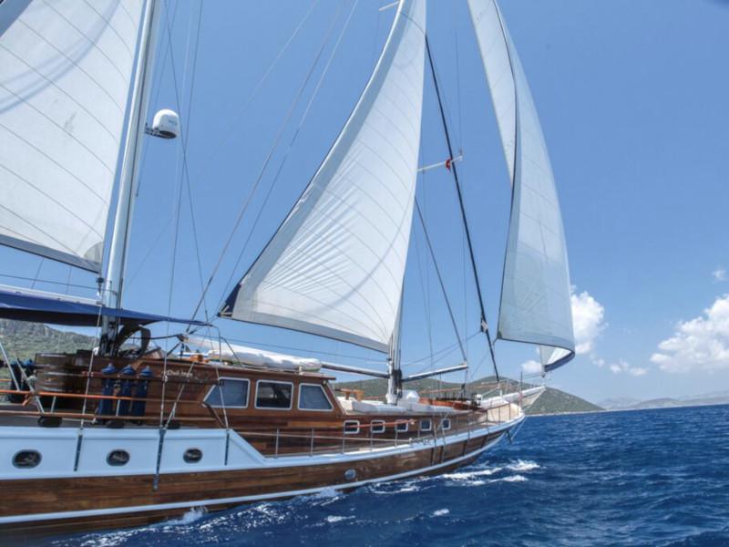 Book yachts online - other - Gulet Area - Dulcinea - rent