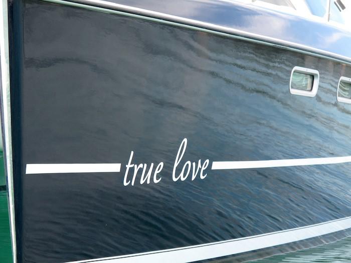 Book yachts online - catamaran - Privilege 495 - True Love - rent