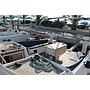 Book yachts online - sailboat - D&D Kufner 54.2 - Castello - rent