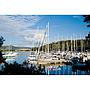 Book yachts online - sailboat - Elan 384 Impression - MIRAKUL - rent