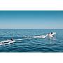 Book yachts online - catamaran - Open Ocean 740Performance - Skimmer - rent