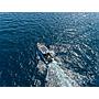 Book yachts online - motorboat - Saxdor 320 GTC (2023) - MAVERICK - rent
