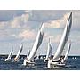 Book yachts online - sailboat - Maxus 33.1 RS Standard - GEMINI - rent