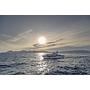 Book yachts online - motorboat - Nimbus Tender T11 - RUDDY - rent