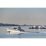 Book yachts online - motorboat - Nimbus Commuter 9 - STICH - rent