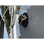 Book yachts online - motorboat - Dominator 680 S - QUO VADIS - rent