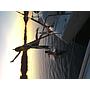 Book yachts online - sailboat - Bavaria 46 - Evita - rent