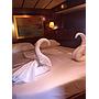 Book yachts online - sailboat - Alfa 56 - Aiolis - rent