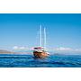 Book yachts online - other - Gulet - Pronto White - rent