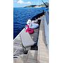 Book yachts online - catamaran - Lagoon Seventy 7 - Mane et Nocte - rent