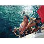 Book yachts online - motorboat - Princess 45 - Summer Love - rent