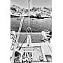 Book yachts online - catamaran - Lagoon 52F - Mercurey - rent